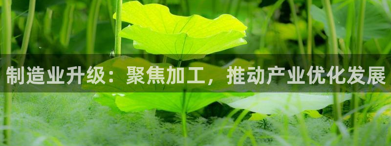 谈球吧体育app下载中心官方网站