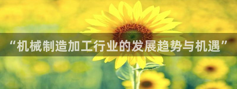 谈球吧官网在线入口手机版免费