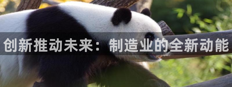 谈球吧官网在线入口手机版下载安装