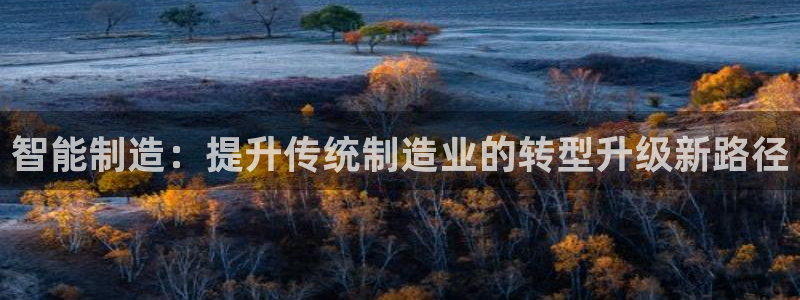 谈球吧官网在线入口免费观看视频下载