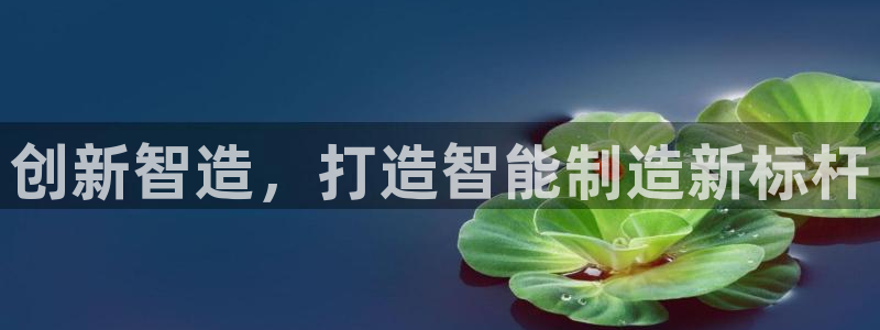 谈球吧体育综合