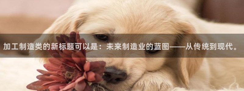 谈球吧体育app下载足球比赛视频