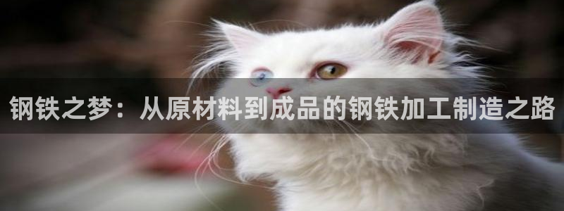 谈球吧是正规平台吗安全吗