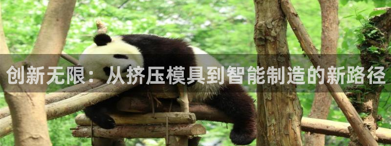 谈球吧app赛事分析