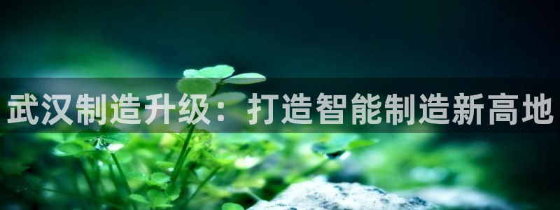 谈球吧官网在线入口