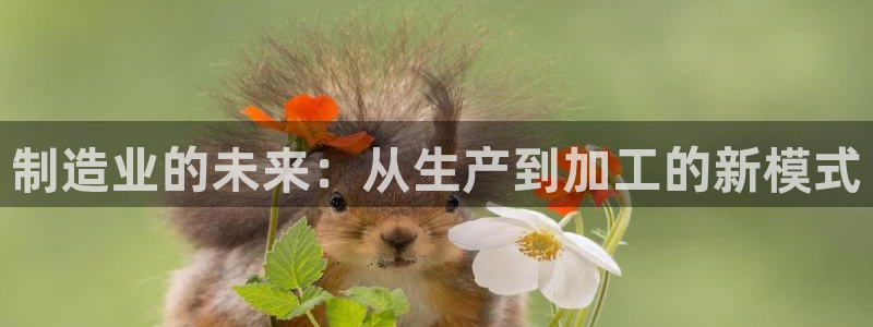 谈球吧app赛事分析在哪里看到