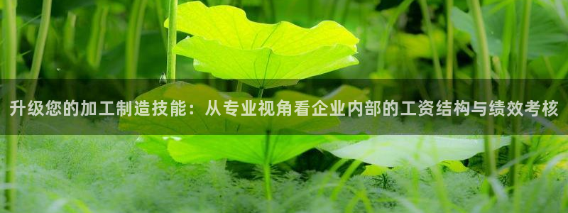 谈球吧体育app下载中心官网苹果